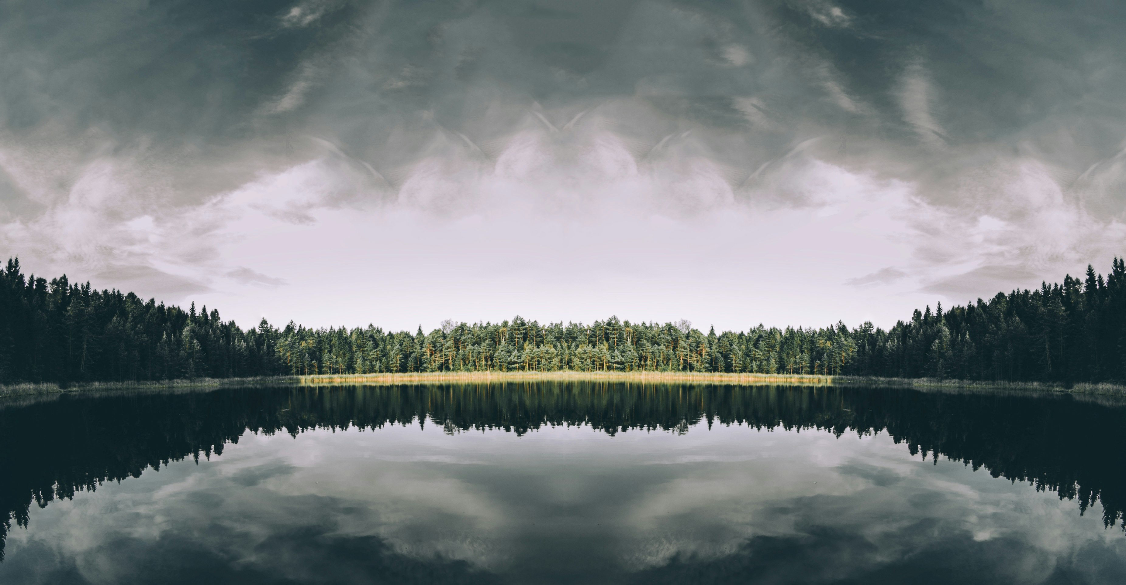 body of water surrounded by trees under the cloudy sky